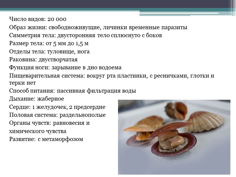Число видов: 20 000 Образ жизни: свободноживущие, личинки временные паразиты Симметрия тела: двусторонняя тело